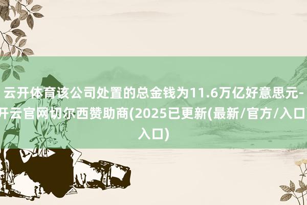 云开体育该公司处置的总金钱为11.6万亿好意思元-开云官网切尔西赞助商(2025已更新(最新/官方/入口)