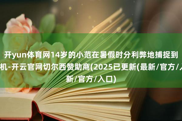 开yun体育网14岁的小范在暑假时分利弊地捕捉到了商机-开云官网切尔西赞助商(2025已更新(最新/官方/入口)