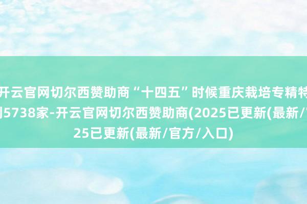 开云官网切尔西赞助商“十四五”时候重庆栽培专精特新企业达到5738家-开云官网切尔西赞助商(2025已更新(最新/官方/入口)