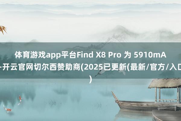 体育游戏app平台Find X8 Pro 为 5910mAh-开云官网切尔西赞助商(2025已更新(最新/官方/入口)