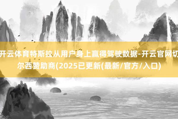 开云体育特斯拉从用户身上赢得驾驶数据-开云官网切尔西赞助商(2025已更新(最新/官方/入口)